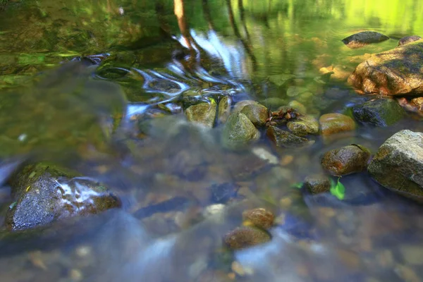 Aug 2008 Zomertijd Van Hong Kong Shing Mun Country Park — Stockfoto