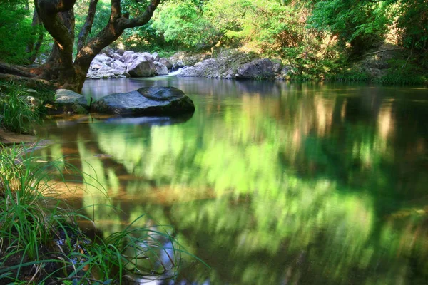 Aug 2008 Nyári Idő Hong Kong Shing Mun Country Park — Stock Fotó