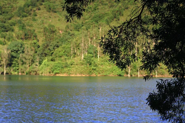 Ağustos 2008 Hong Kong Shing Mun Şehir Parkının Yaz Zamanı — Stok fotoğraf