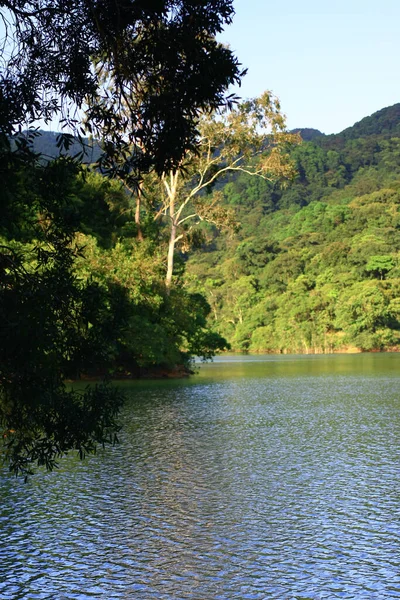 Agosto 2008 Hora Verão Hong Kong Shing Mun Country Park — Fotografia de Stock