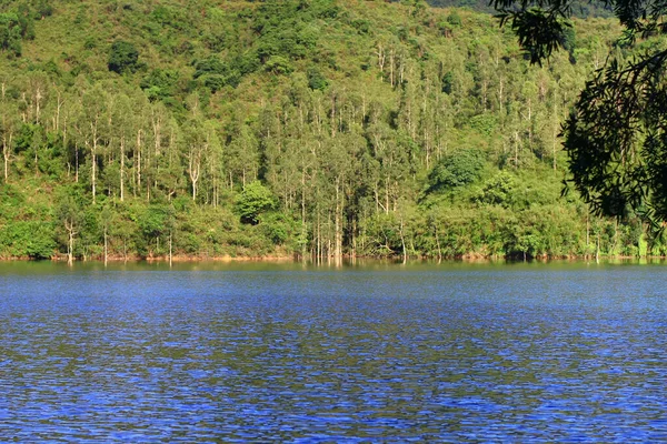 Agosto 2008 Hora Verão Hong Kong Shing Mun Country Park — Fotografia de Stock