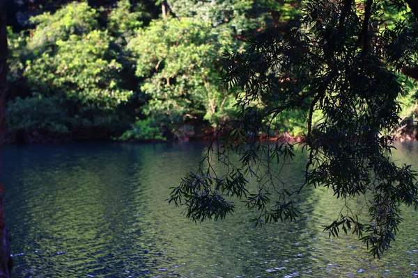 Agosto 2008 Hora Verano Hong Kong Shing Mun Country Park — Foto de Stock