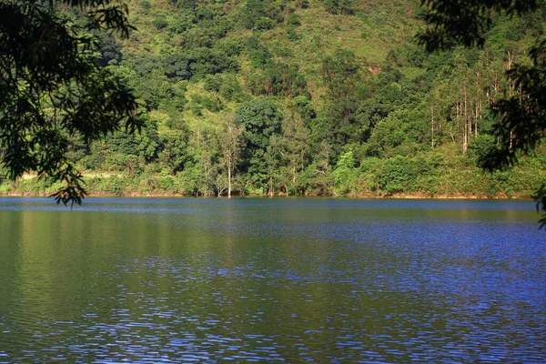 Авг 2008 Летнее Время Гонконг Shing Mun Country Park — стоковое фото