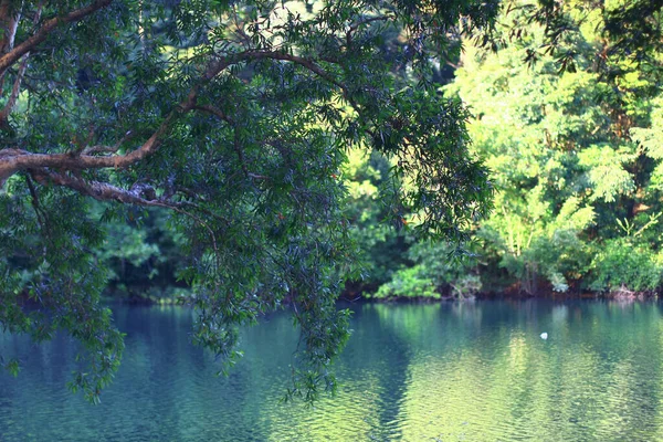 Aug 2008 Sommerzeit Hong Kong Shing Mun Country Park — Stockfoto