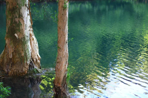 Aug 2008 Zomertijd Van Hong Kong Shing Mun Country Park — Stockfoto