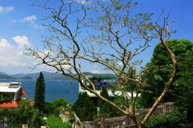 17 Ağustos 2008 Sai kung 'daki Liman Barınağı Yazı 