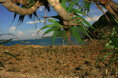 17 Ağustos 2008 Sai kung 'daki Liman Barınağı Yazı 