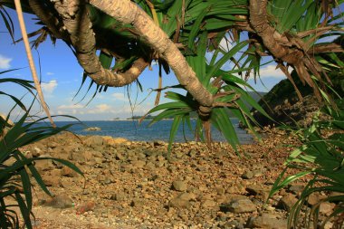 17 Ağustos 2008 Sai kung 'daki Liman Barınağı Yazı 