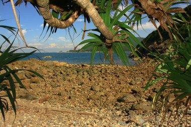 17 Ağustos 2008 Sai kung 'daki Liman Barınağı Yazı 