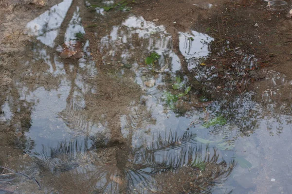 Éclaboussures Eau Isolées Sur Fond Sombre Août 2008 — Photo