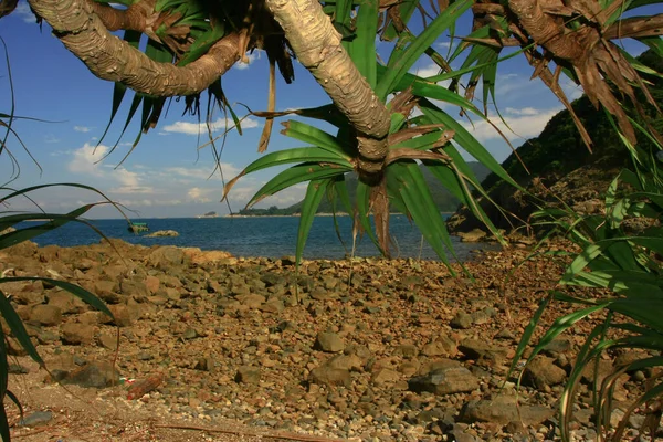 Aug 2008 Zomer Van Port Shelter Bij Sai Kung — Stockfoto