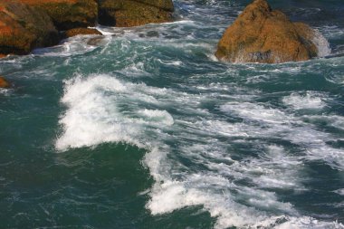  Shek o sahili. Hong Kong 'da 26 Ekim 2008