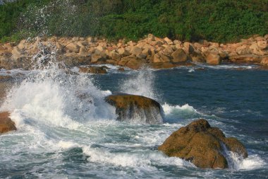  Shek o sahili. Hong Kong 'da 26 Ekim 2008