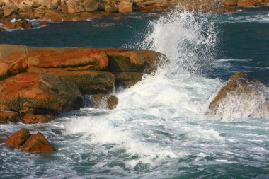  Shek o sahili. Hong Kong 'da 26 Ekim 2008