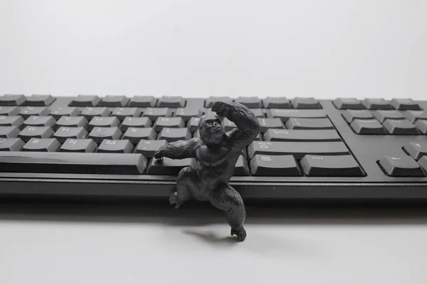 Scale Ape Attack Computer Keyboard — Stock Photo, Image