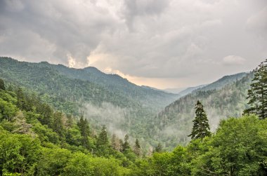 Büyük Smoky Dağları Milli Parkı içinde newfound Gap
