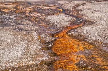 Rusty Orange tasarımlar