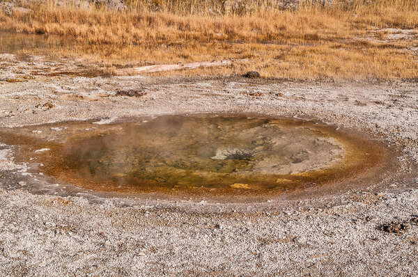 Economic Geyser in Yellowstone