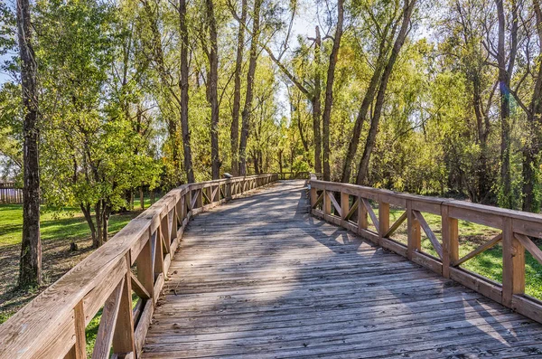 ahşap yaya köprüsü