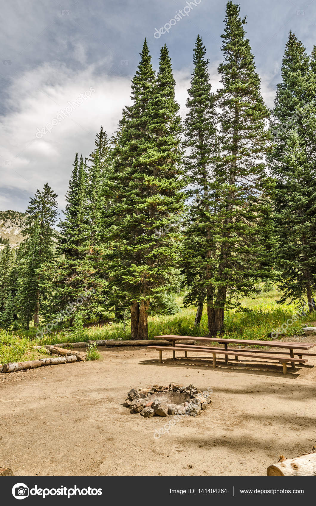 Campsite With A Picnic Table And Fire Pit Stock Photo C Mtsue