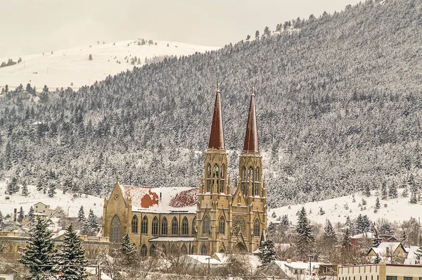 Kathedrale im gotischen Stil — Stockfoto
