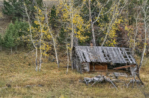 Hogar abandonado en los Aspens — Foto de Stock