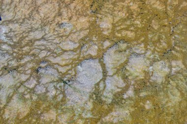 Doğa artalan dokulu