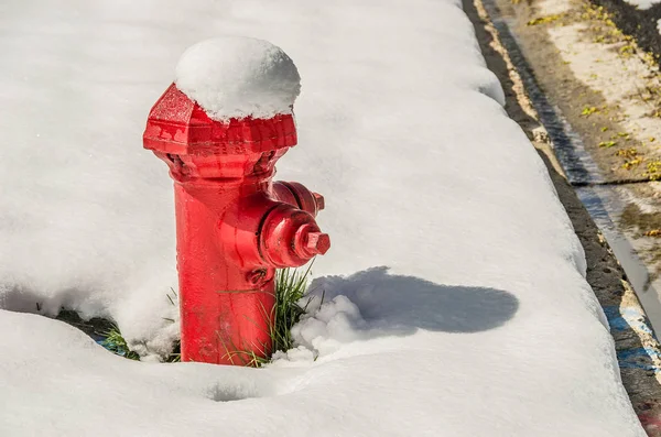 Яркий красный пожарный гидрант — стоковое фото