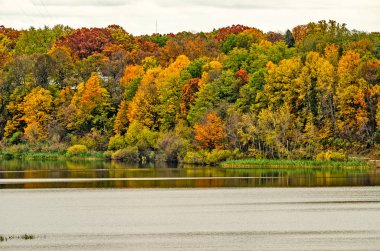 Michigan 'a Sonbahar Geldi