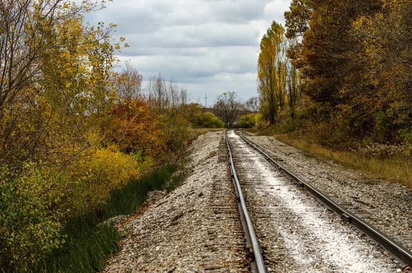 I colori autunnali seguono le tracce della ferrovia dietro una curva — Foto Stock