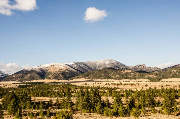 Närbild Den Sovande Jätten Montana Med Blå Himmel Några Vintergröna — Stockfoto