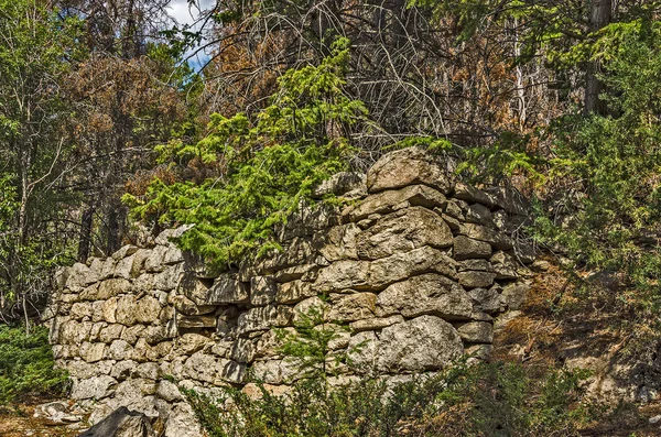 Partially Buried Foundation in a Ghost Town — Stockfoto