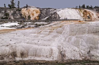Hymen Terrace, Yellowstone Ulusal Parkı Clematis Creek 'teki Mammoth Kaplıcaları ve Ana Teras Grubu' nda bir kaplıcadır.