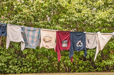 Kırmızı, mavi, gri, bej ve ekose gömlekler, arka planda ağaçlar olan bir çamaşır ipinde baş aşağı asılı.