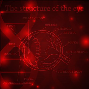 Kırmızı göz yapısı