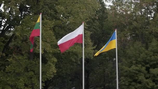 Bandera nacional polaca . — Vídeos de Stock