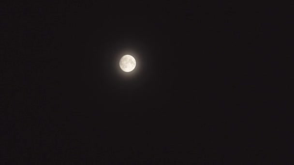 Luna llena en la noche sin nubes — Vídeos de Stock