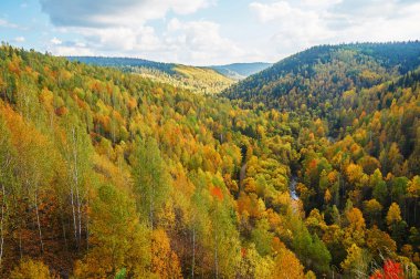 güzel sonbahar manzara                               