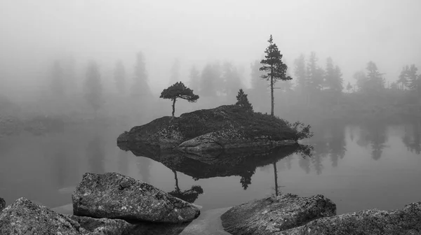 Schöne Bergsommerlandschaft Stockbild