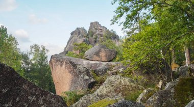harika dağ manzarası ve yoğun kozalaklı orman.