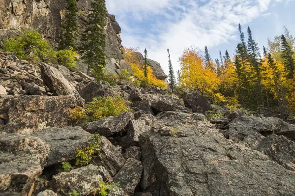 Paisagem maravilhosa outono de montanhas e densa floresta de coníferas — Fotografia de Stock