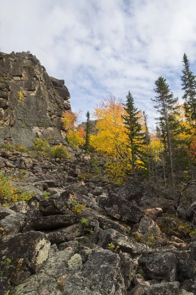 Prachtig herfstlandschap van bergen en dicht naaldbos — Stockfoto