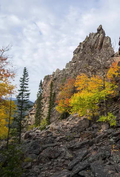 Paisagem maravilhosa outono de montanhas e densa floresta de coníferas — Fotografia de Stock