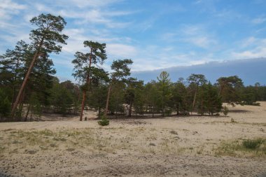 Yeşil ağaçları ve bulutlu gökyüzü olan güzel bir manzara.