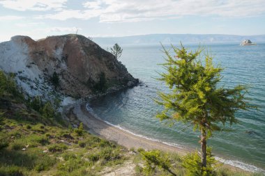 Mavi gölün güzel yeşil kıyısında yalnız bir ağaç.