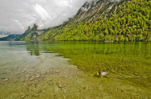 Crystal clear mountain lake with bluish and greenish water on a background of alpine mountains. Bavaria, Germany, environmentally friendly lakes of Europe.