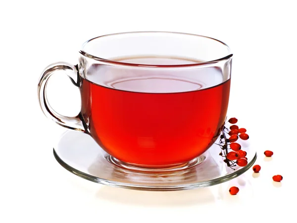 Κόκκινο τσάι Κύπελλο — Φωτογραφία Αρχείου
