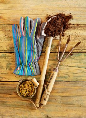 Tırmık, kürek, tohum ve eldiven