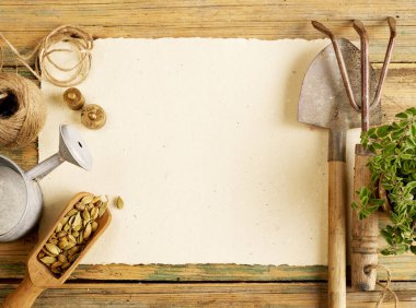 Bitkiler, Bahçe aletleri ve boş kağıt