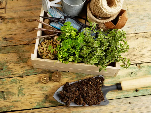 Attrezzature da giardinaggio sul tavolo — Foto Stock